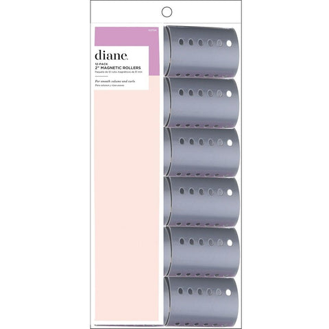 Diane 12-Pack Magnetic Rollers 2" Grey
